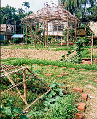 Agriculture is being the theme of a durgapuja at purbasthali