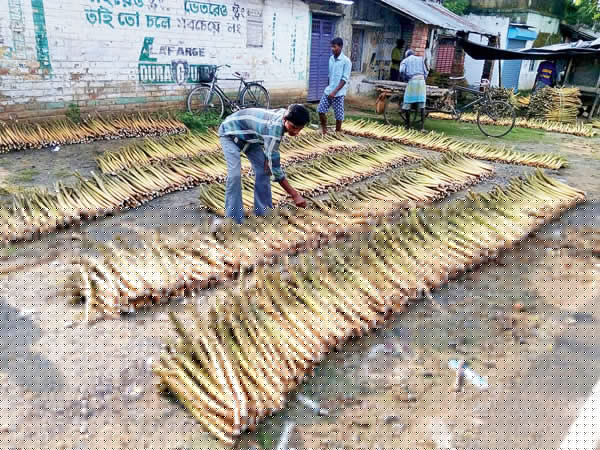 The authenticity is losing away