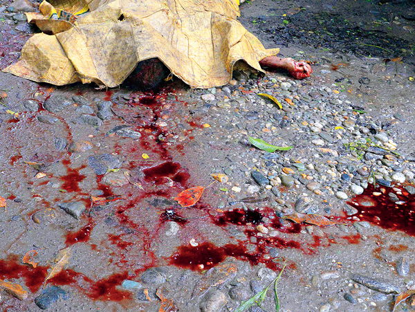  Jalpaiguri tea garden's manager is brutally murdered
