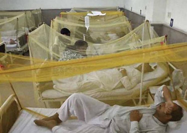 Dengue is taking heavy toll on people's life