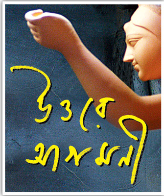 Puja committee will now seek for online permission for durga puja