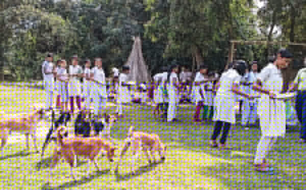 Poor drainage system, crashed roofs of kitchen: distress for students in district school