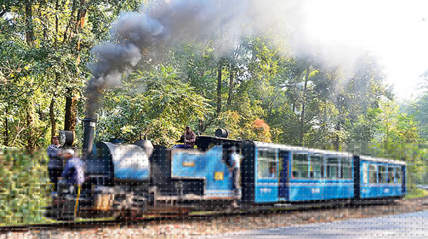 Toy train service does not run every day but the demand is so high