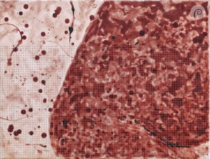 দ্বিতীয় মাস।