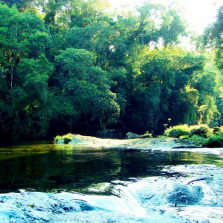 বিরিটিবা-মিরিম, ব্রাজিল: <br> 
২০০৫ সালে একটি পাবলিক বিল আনে বিরিটিবা প্রশাসন। তাতে বলা হয়, স্থানীয় কবরস্থান পূর্ণ হয়ে যাওয়ায় <br> এখানে আর কোনও মৃতদেহ কবর দেওয়া সম্ভব নয়। অন্য দিকে এই <br> গ্রামটি ঘিরে রয়েছে ব্রাজিলের রেন ফরেস্ট। কবরস্থান সম্প্রসারণের জন্য যা নষ্ট করা সম্ভব নয়। ফলে আর <br> কোনও মৃতদেহ কবর দেওয়া যাবে না বিরিটিবা-মিরিম গ্রামে। ফলে এখানে মৃত্যুও নিষিদ্ধ।