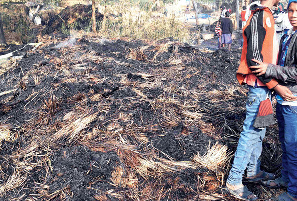 Fire breaks out at Cow shade, 10 cows dead