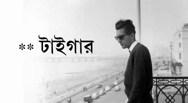 মনসুর আলি খান পতৌদি, ভারত