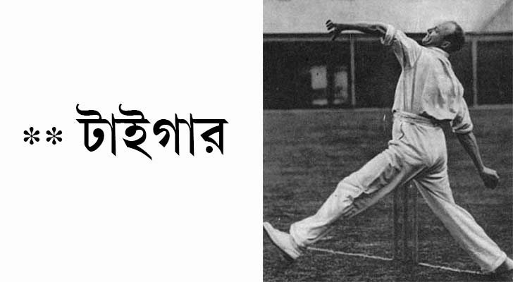 বিলি ও’রেলি, অস্ট্রেলিয়া