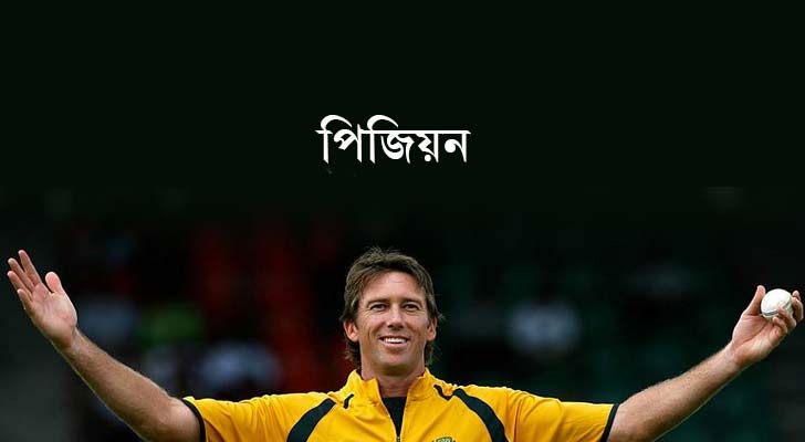 গ্লেন ম্যাকগ্রা, অস্ট্রেলিয়া