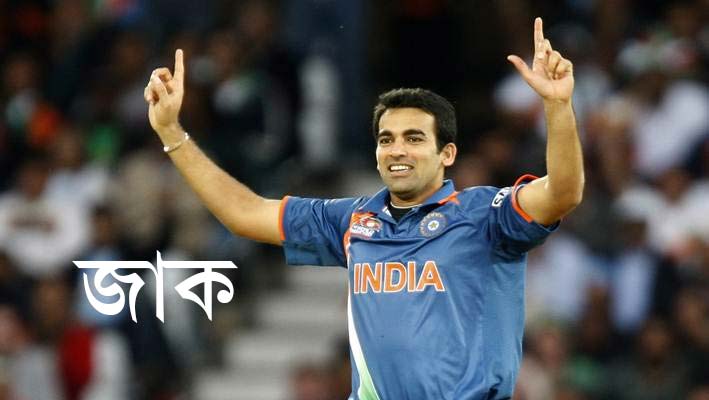 জাহির খান, ভারত