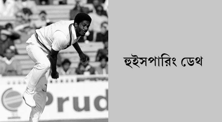 মাইকেল হোল্ডিং, ওয়েস্ট ইন্ডিজ