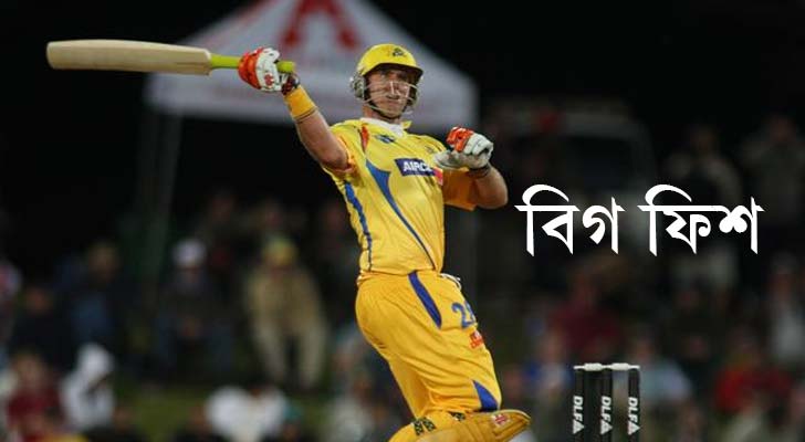 ম্যাথু হেডেন, অস্ট্রেলিয়া