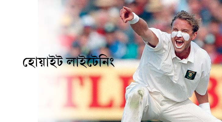 অ্যালান ডোনাল্ড, দক্ষিণ আফ্রিকা