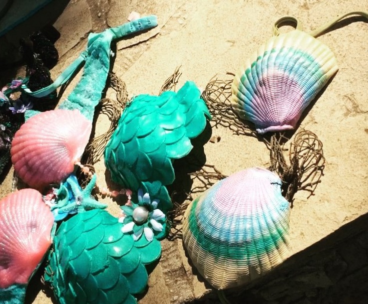 সিলিকন লেজের পাশাপাশি ‘সিরেনলিয়া’ আপনাকে দেবে শামুক-ঝিনুকের তৈরি পোশাকও। যা পরে মৎসকন্যা বনে যেতে পারবেন।