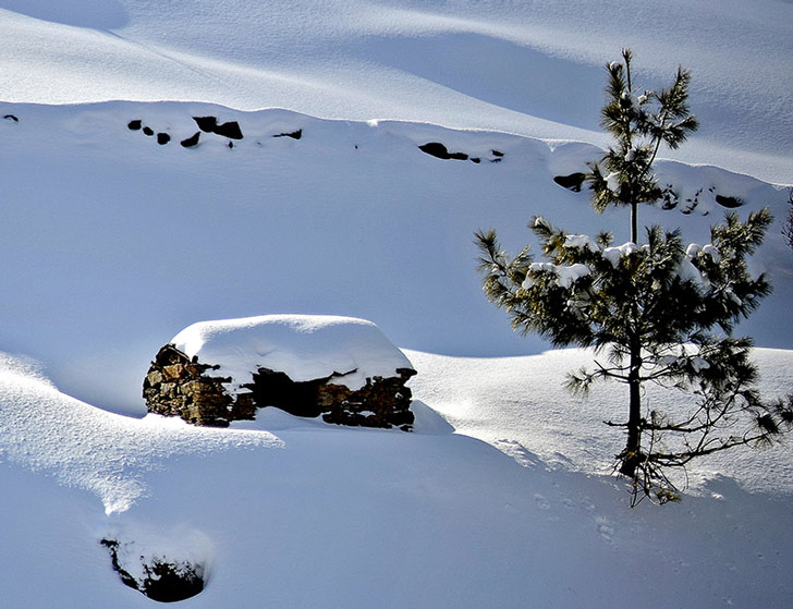 শীতের মরসুমে যে বরফঢাকা উত্তরাখণ্ডের পাহাড় দেখে অভ্যস্ত পর্যটকেরা, এ বছর যেন পুরো ছবিটাই বদলে গিয়েছে। কোথায় বরফ! তুষারপাতই হচ্ছে না ঠিক মতো।