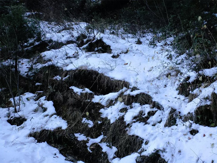 আলমোরা, উত্তরাখণ্ড: উত্তরাখণ্ডের আলমোরা পার্বত্য উপত্যকাকে স্নো হেভেন বলা হয়।<br> রানিখেত, কৌসানির মাঝামাঝি অবস্থিত আলমোরায় বরফ উপভোগ করতে চাইলে যেতে হবে ডিসেম্বর থেকে ফেব্রুয়ারির মধ্যে।