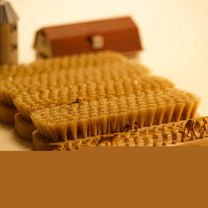 কখনও ভেবেছেন ব্রাশ দিয়ে এত সুন্দর পাকা ধানের ক্ষেত বানানো যায়। কিছুটা ধান কাটাও হয়ে গিয়েছে।