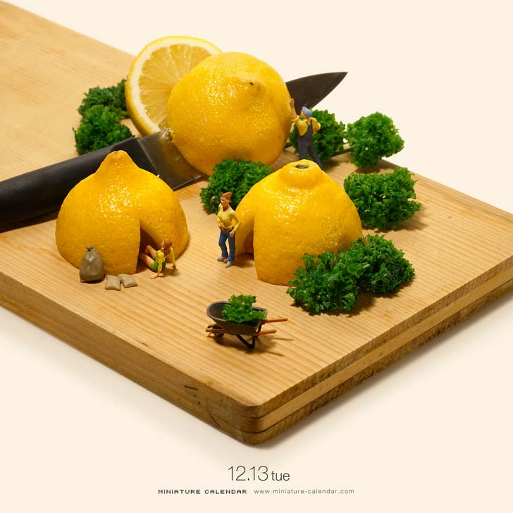 তাঁবু খাটানো হয়েছে জঙ্গলের মধ্যে।