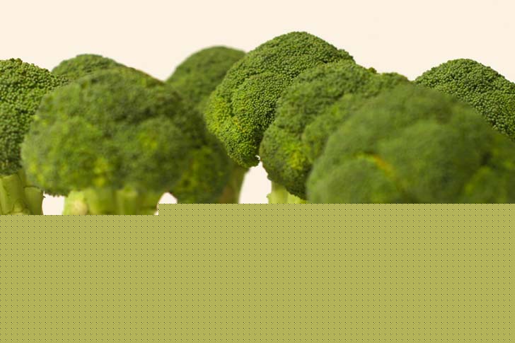 ব্রকোলি গার্ডেনে পিকনিক।