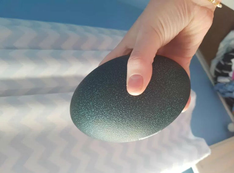 তবে হাঁস বা মুরগীর ডিম নয়। কিনেছিলেন এমু পাখির ডিম।