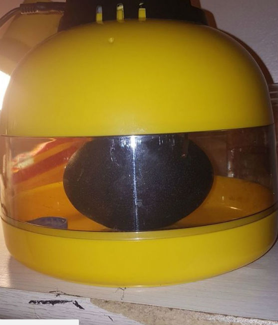 কিনে নিয়ে আসেন ইনকিউবেটিং মেশিন। এই মেশিনেই ৪৭ দিন রেখে দেন কালচে সবুজ রংয়ের বড় আকারের ডিমটি। <br> আশ্চর্য ঘটনাটি ঘটে এরপরেই। ৫ জানুয়ারি ডিম ফোটে। <br> ডিমের খোলস ভেঙে বেড়িয়ে আসে ছোট্ট একটি এমু পাখি।