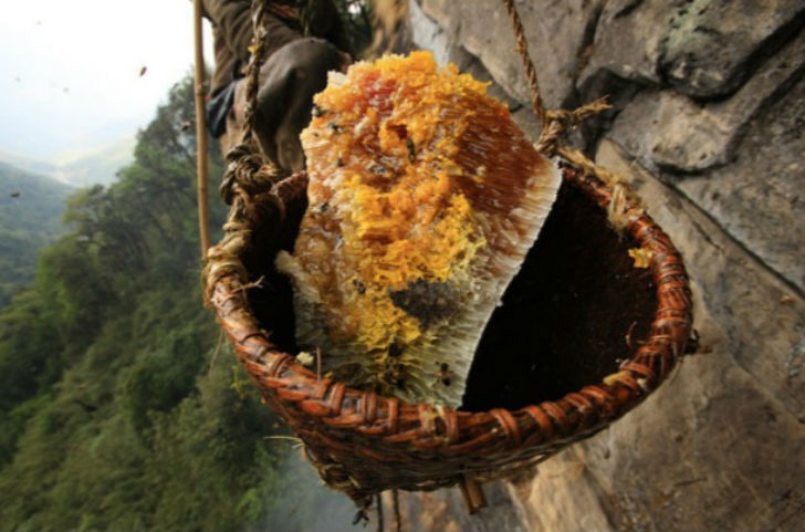 গ্রায়ানোটক্সিনের রাসায়নিক বিন্যাসের উপর ভিত্তি করে গ্রায়ানোটক্সিনকে অ্যাড্রোমেডটক্সিন, অ্যাসিটাইলল্যান্ড্রমেডল, <br> রোডোটক্সিন এবং অ্যাসিবোটক্সিন নানান ভাগে ভাগ করা যায়।