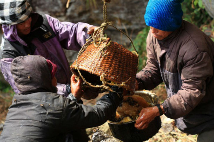 গ্রায়ানোটক্সিনের সম্পূর্ণ রাসায়নিক নাম গ্রায়ানোটক্সিন-৩,৫,৬,১০,১৪,১৬-হেক্সল ১৪ অ্যাসিটেট। মার্কিন উদ্ভিদবিদ আসা গ্রে <br> জাপানের লিউকোথোয়ি গ্রায়ানা নামের একটি গাছের নাম থেকে এই মধুর নাম দেন গ্রায়ানোটক্সিন।