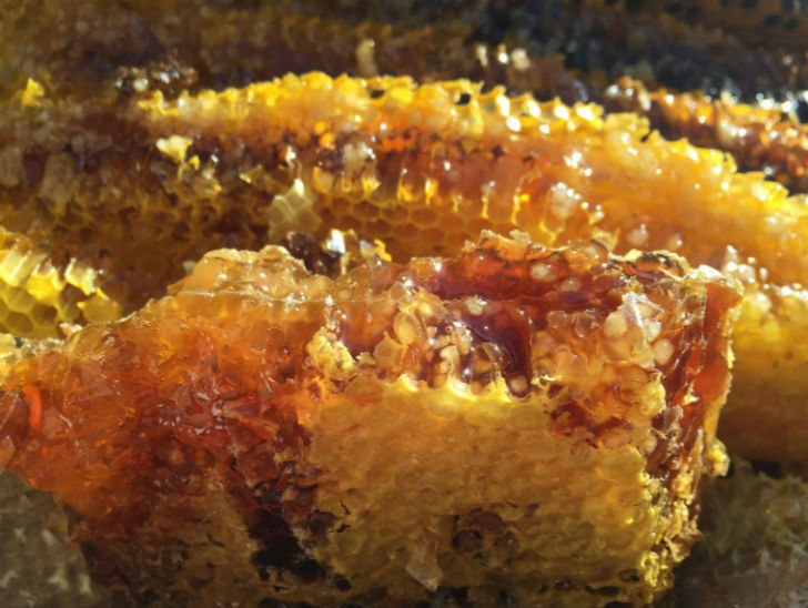 ব্রাজিল, জাপান, আমেরিকা, নেপাল, ব্রিটিশ কলম্বিয়ায় পাওয়া যায় এই গ্রায়ানোটক্সিন অর্থাৎ পাগল মধু।