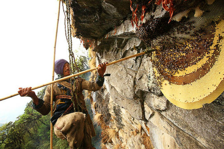 পাশাপাশি বমি, মাথা ধরা, শরীর দুর্বল হয়ে যাওয়া, অস্বাভাবিক হারে রক্তচাপ কমে যাওয়া, পেশীর <br> দৌর্বল্য, ঝাপসা দৃষ্টি, পারকিনসন-হোয়াইট-সিনড্রোম পর্যন্ত দেখা দিতে পারে।
