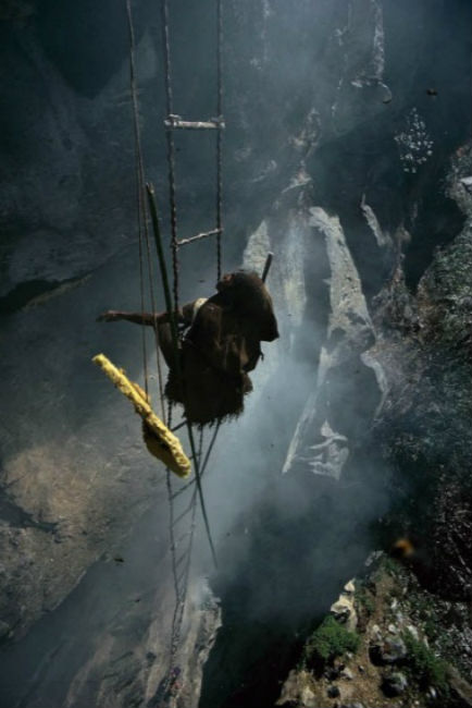 নেপালের গুরুঙ্গ উপজাতির মধু সংগ্রাহকরা সারা শরীরে মোটা চট বেঁধে পাহাড়ে <br> চড়েন মধু সংগ্রহ করতে। জীবনকে বাজি রেখে হাতে বানানো মই বেয়ে চড়েন <br> পাহাড়ের মাথায়। তারপর তা বিক্রি করেন স্থানীয় বাজারে। নেশার বস্তু হিসাবে মারাত্মক চাহিদা এই মধুর।