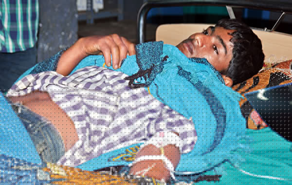 A student got injured badly by the attack of an elephant