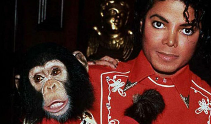 বাবল: <br> 
মাইকেল জ্যাকসনের শিম্পাঞ্জি বাবল নাকি মাইকেলের সঙ্গে একই টেবলে বসে ডিনার করত। বাবলকেই নিজের প্রথম ছেলে <br> বলতেন পপ সম্রাট। মারা যাওয়ার আগে বাবলের দেখাশোনার জন্য ২০ লক্ষ ডলার রেখে গিয়েছিলেন জ্যাকসন।