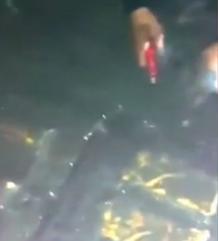 বিশেষজ্ঞরা জানাচ্ছেন, দ্বিতীয় বিশ্বযুদ্ধের সময়ে জাপানি ইম্পেরিয়াল সেনারা এই সোনা লুঠ করেছিল। <br> বহু দিন ধরেই ফিলিপিন্সের স্থানীয় বাসিন্দারা বিশ্বাস <br> করতেন শহরের কোনও গোপন স্থানে রয়েছে সেই সোনা। কিন্তু তা কোথায় লুকিয়ে রয়েছে <br> জানা যাচ্ছিল না তা। ফিলিপিন্সের বাসিন্দাদের কাছে <br> এই গুপ্ত সোনা জাপানি সেনা প্রধান তোমোয়ুকি ইমাসিটারের নামানুসারে ইয়ামসিটার সোনা নামেই খ্যাত।