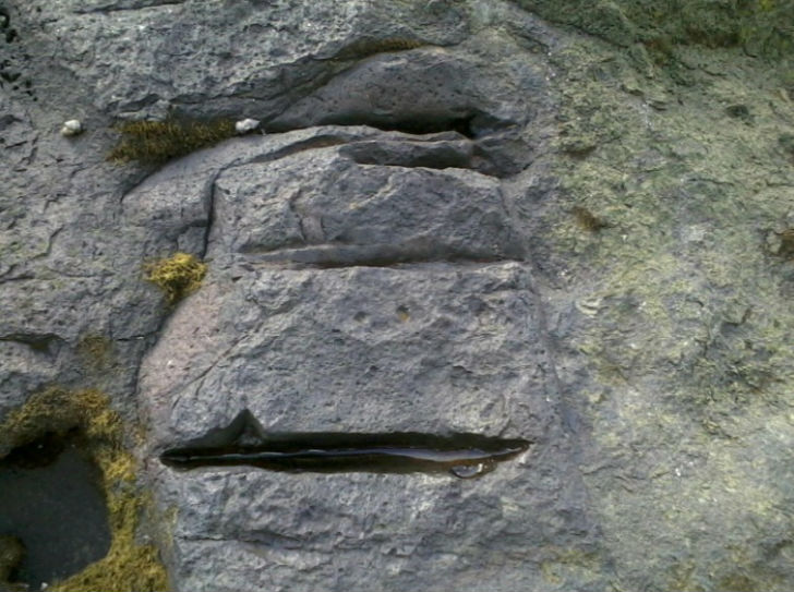 তবে শুধুমাত্র গুহার ভিতরে লুকিয়ে রেখেই নিশ্চিন্ত হতে পারেনি জাপানি সেনা। <br> সম্পত্তি আরও সুরক্ষিত করতে একাধিক বুবি ট্র্যাপে ঘিরে রাখা হয়েছে ওই গুহা।