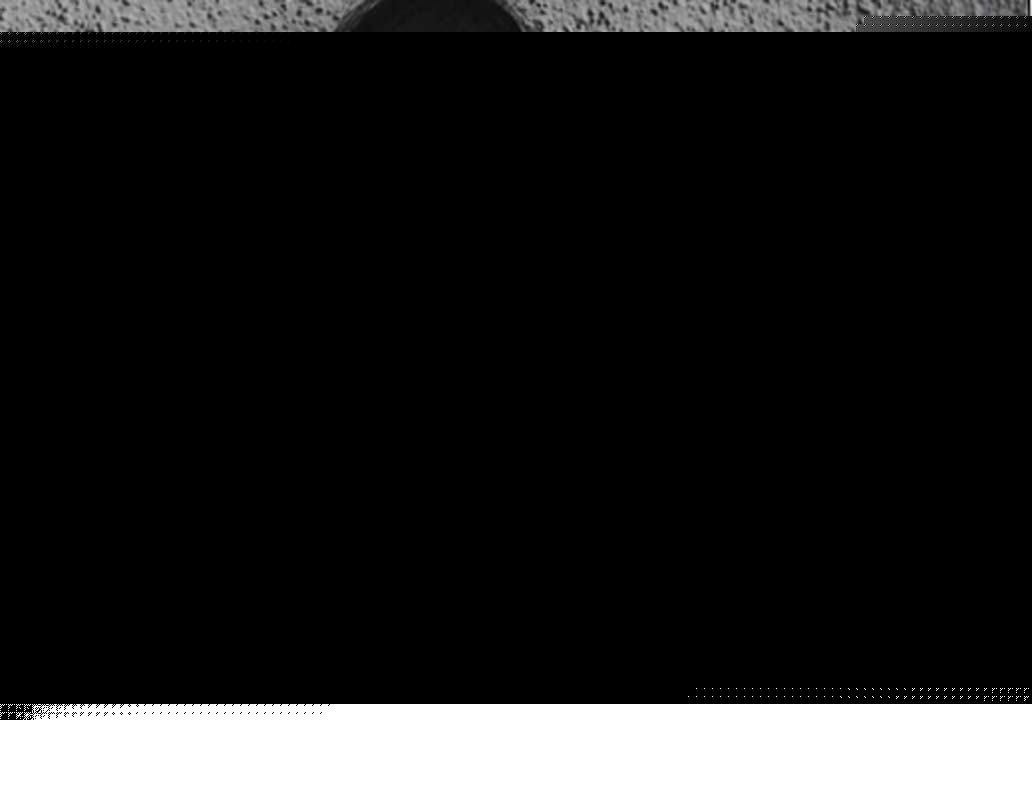 মহিলাদের অধিকার নিয়ে প্রায়শই কথা বলতে দেখা যায় সালোনিকে।