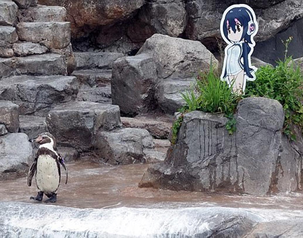 এই প্রত্যাখান ছিল বড়ই বেদনার। সঙ্গীর খোঁজ করতে শুরু করে সে।