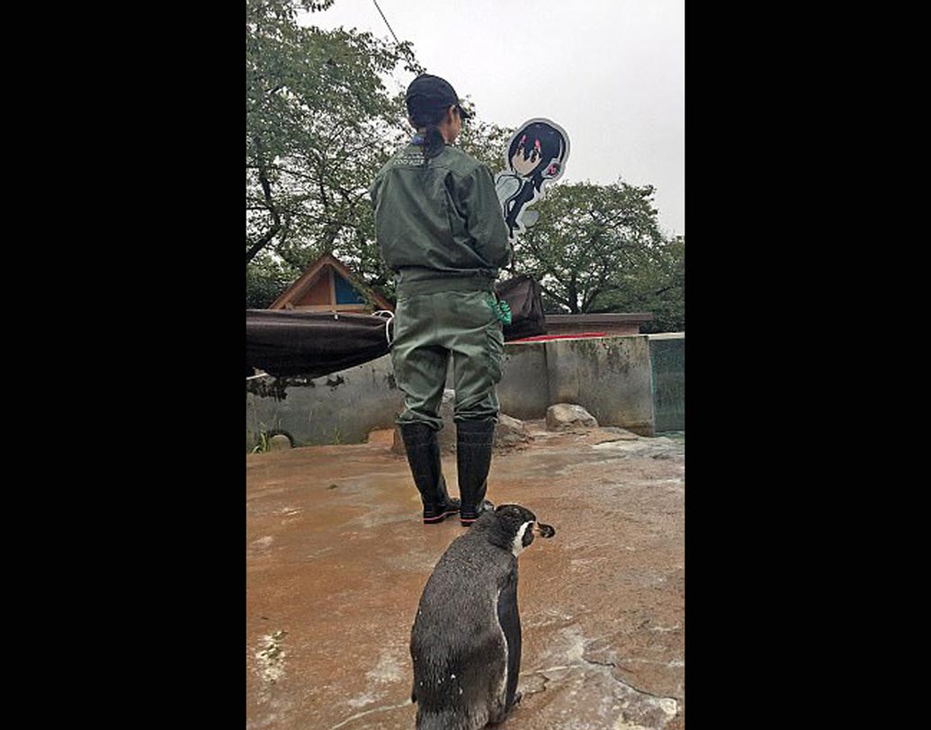 গ্রাপে’র শূন্য হৃদয়ে যেন ফুরফুরে বাতাস নিয়ে এসেছিল সে। হুলুলু’র প্রেমে পড়ে যায় গ্রাপে।