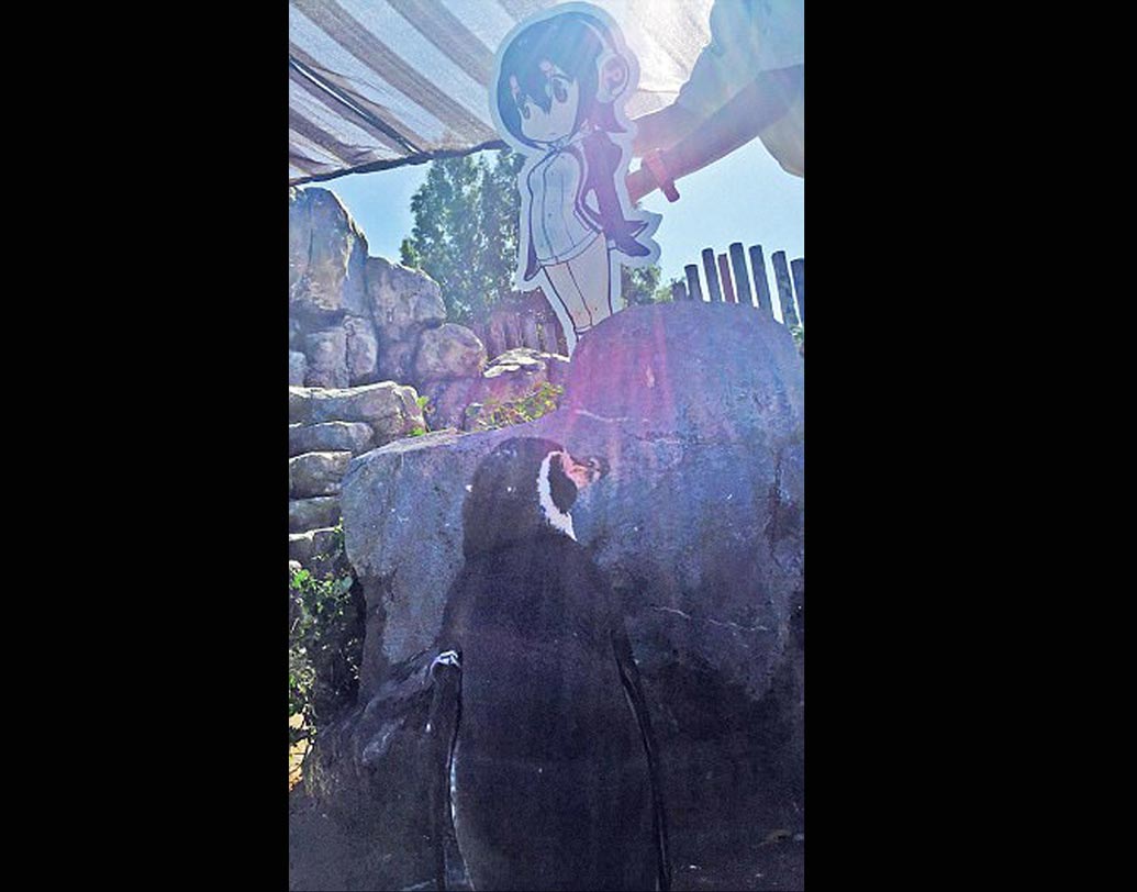 এই বছরেই ২১ বছরে পা দিয়েছিল সে। এই বৃদ্ধ বয়সেও সর্বক্ষণ তাঁর কার্ডবোর্ডের বান্ধবীর সঙ্গেই সময় কাটাত সে। ঠিক আগের মতোই। আর বান্ধবীর পাশেই শেষ নিঃশ্বাস ত্যাগও করে সে।