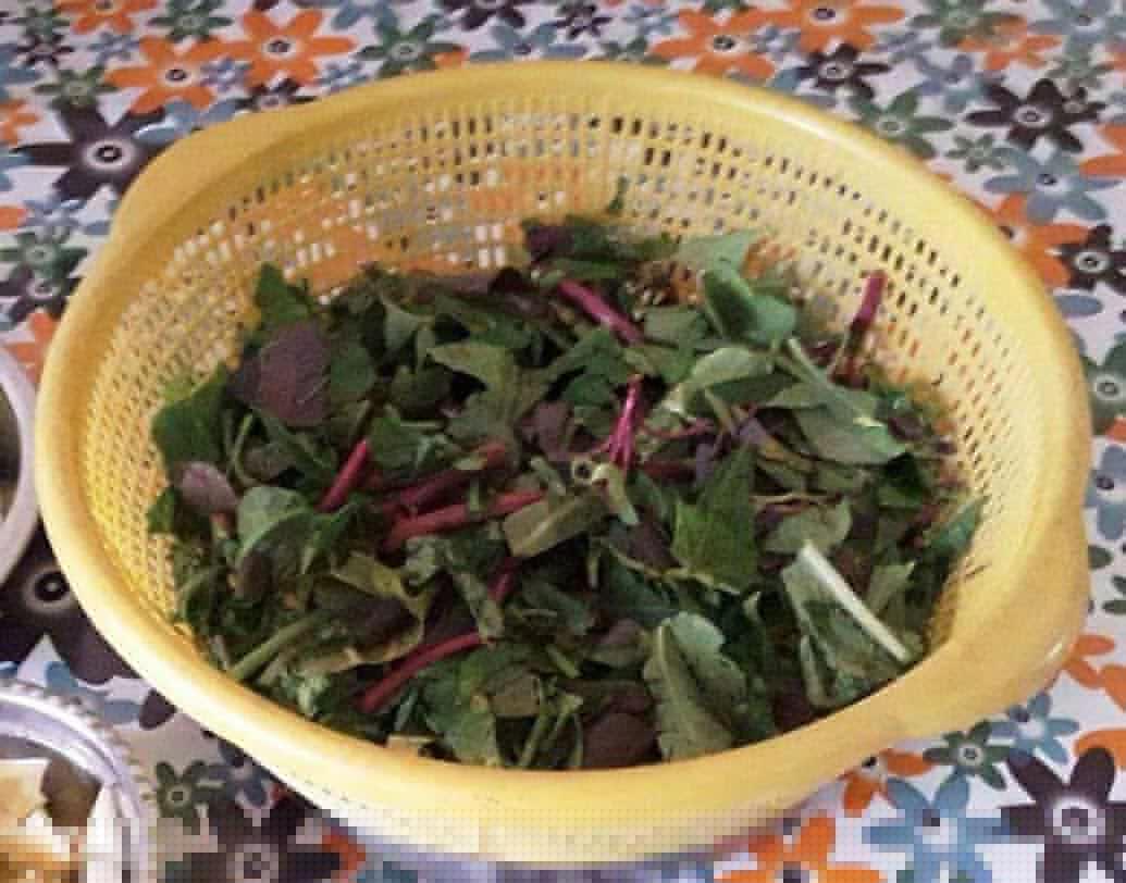 ঘেঁটু বা ভাঁট।