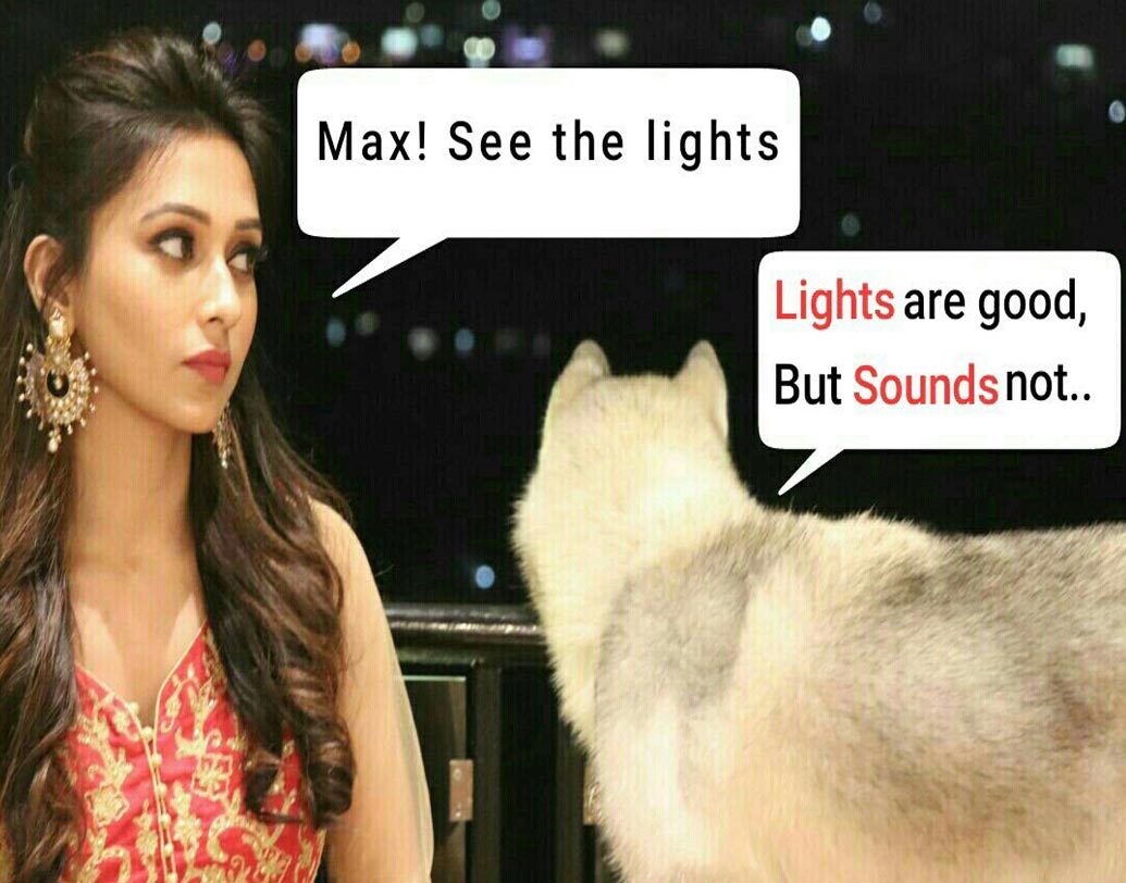 শব্দহীন দিওয়ালির পক্ষে সওয়াল করলেন অভিনেত্রী মিমি চক্রবর্তী।