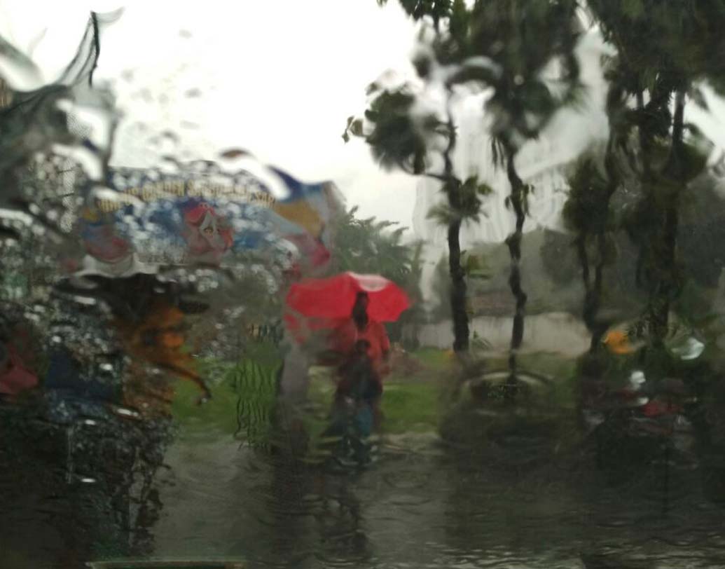 বঙ্গোসাগরে নিম্নচাপের জেরে শুরু হয়েছে বৃষ্টি। আবহাওয়া দফতর জানিয়েছে,  নিম্নচাপ সরে গিয়েছে ওড়িশা উপকূলে। জলমগ্ন উত্তর ও দক্ষিণ কলকাতার একাধিক এলাকা। গতকাল সন্ধে ৬টা থেকে আজ সকাল ৭টা পর্যন্ত মানিকতলায় ৪৩ মিলিমিটার, বেলগাছিয়ায় ৩৬ মিলিমিটার, উল্টাডাঙায় ৩৩ মিলিমিটার বৃষ্টি হয়েছে। ছবি: দেশকল্যান চৌধুরী।