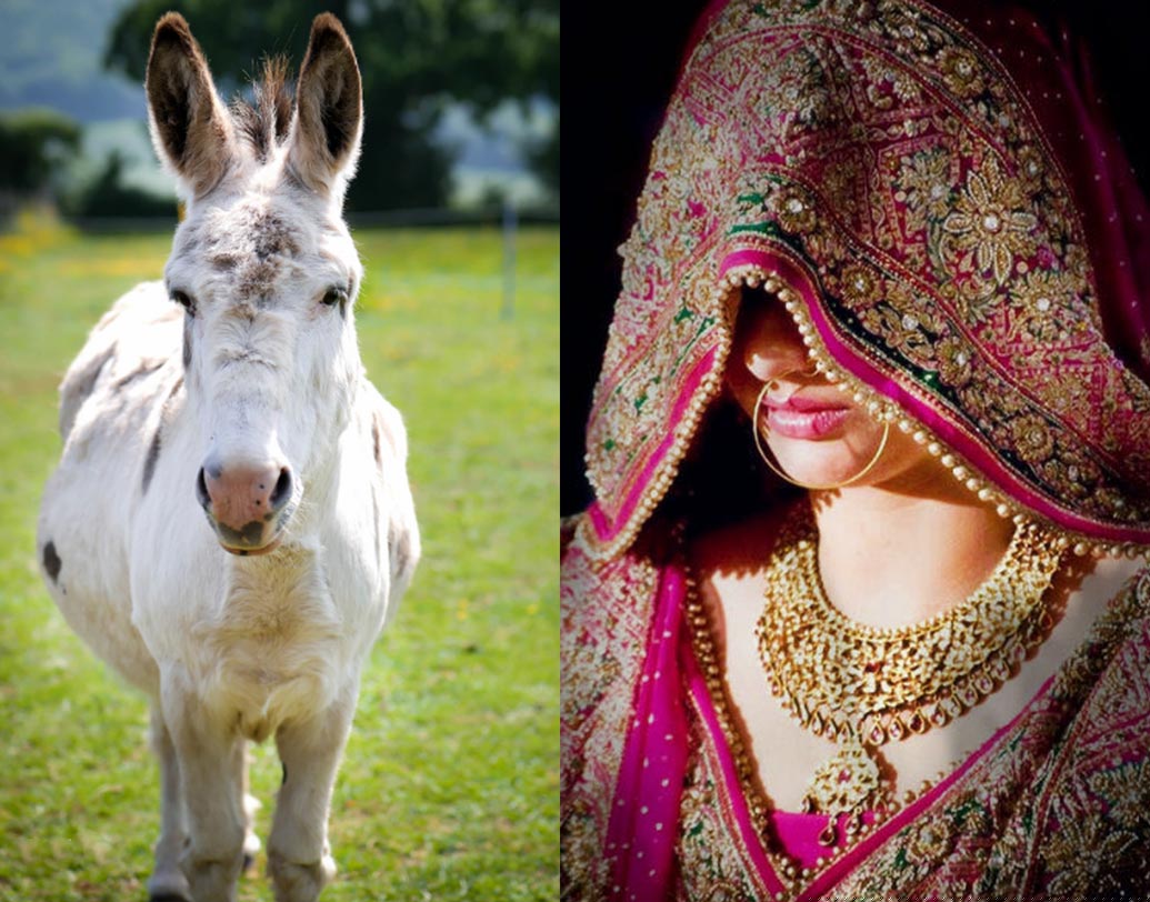 রাজস্থান শিক্ষা দফতর থেকে প্রকাশিত নবম শ্রেণির হিন্দি পাঠ্যবইয়ে লেখা ছিল—‘স্ত্রীর থেকে গাধারা ভাল। কারণ গাধাকে খাবার খাওয়ালে সে সারাটাদিন ধরে কাজ করে। প্রভুর কথার অবাধ্য হয় না। এমনকী কোনও অভিযোগ করে না। কিন্তু স্ত্রীরা তা করে থাকে।’