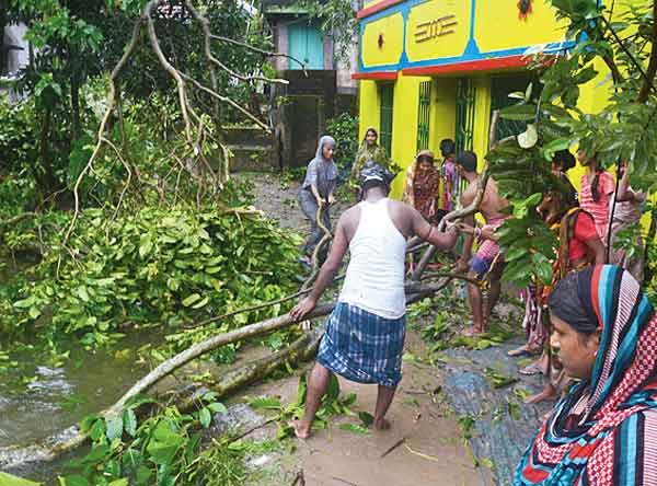 দুর্যোগ: সরানো হচ্ছে ভেঙে পড়া গাছ। নিজস্ব চিত্র