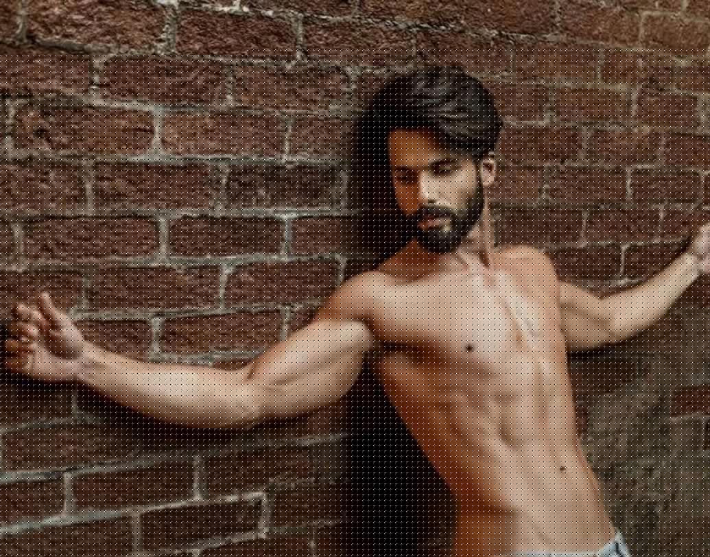 ২০১৬ সালটা ভীষণ ভাল ছিল শাহিদ কপূরের জন্য। তবে ২০১৭ সাল খানিকটা ম্লানই বটে তাঁর জন্য। হাতে রয়েছে বড় রিলিজ ‘পদ্মাবতী’। এই নায়ক ১০ থেকে ১২ কোটি টাকা করে পান একটি ছবিতে অভিনয় করার জন্য।