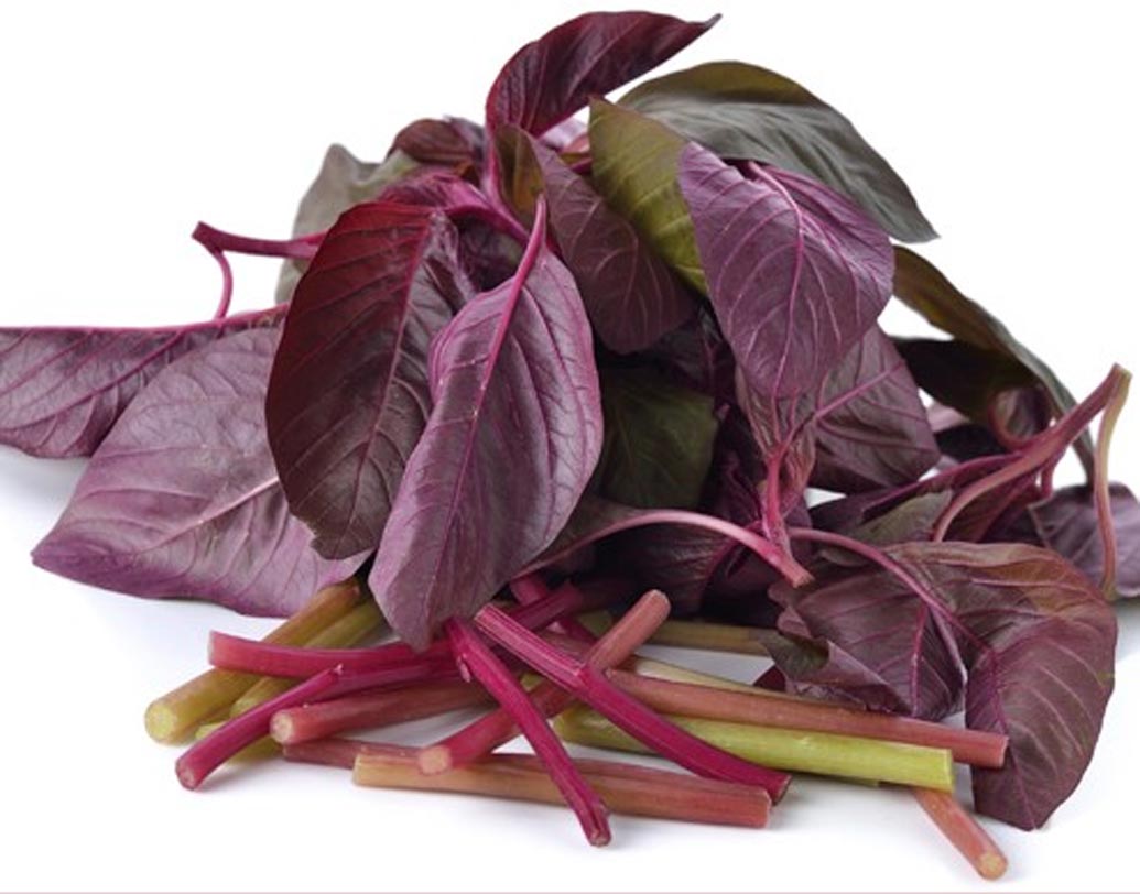 গার্ডেনরিচ বাজার থেকে সংগৃহীত শাক সব্জির প্রতি কেজিতে ৩.২৮ থেকে ১৪৫.৪৭ মিলিগ্রাম লেড পাওয়া গিয়েছে। লেডের পরিমাণ সবচেয়ে বেশি লাল শাকে।