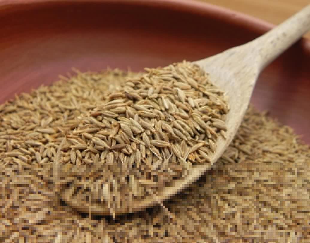 কাঁচা মশলাতেও পাওয়া গিয়েছে লেড। টালিগঞ্জ বাজার থেকে সংগৃহীত প্রতি কেজি গোটা জিরের মধ্যে ৩১.২৫ মিলিগ্রাম লেড পাওয়া গিয়েছে।