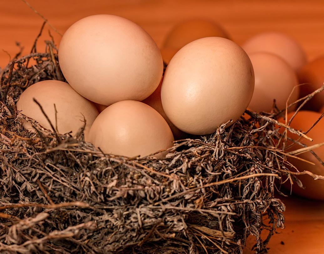 ডিম: এক জার ঠান্ডা জলে ডিম রাখুন। যদি ডিম জারের তলায় আড়াআড়ি ভাবে শুয়ে যায় তা হলে ডিম টাটকা। যদি ভেসে ওঠে তা হলে বুঝবেন ডিম খাওয়ার অবস্থায় নেই।