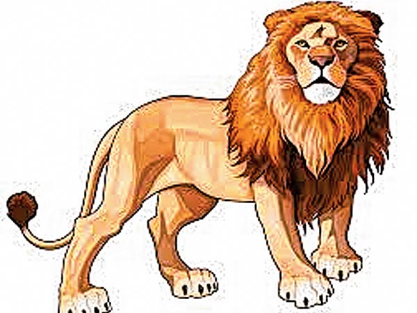 Lion to enter Alipore Zoo