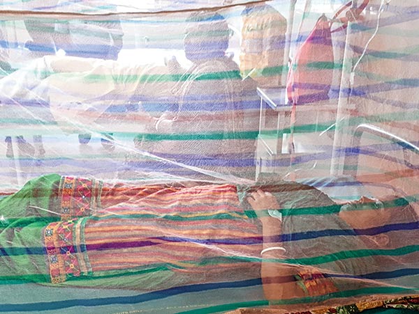 MLA have been affected by Dengue, Mosquito control has started in Sainthia