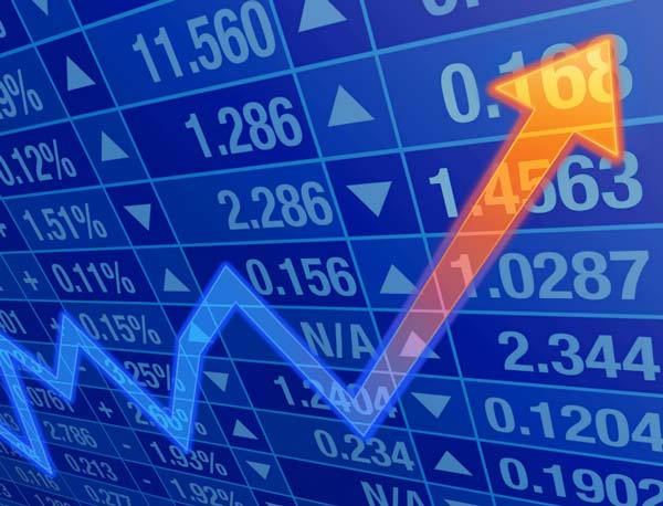 Share Market indicator rises up after Govt fixed capitale